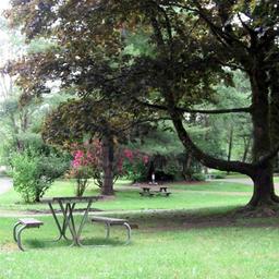 Friday Creek Campground