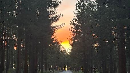 Union Creek Campground