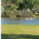 Campspot slideshow image 5
