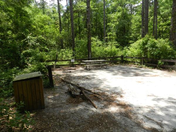Longleaf