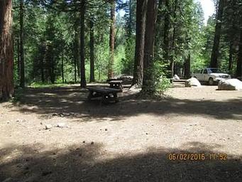Middle Meadows