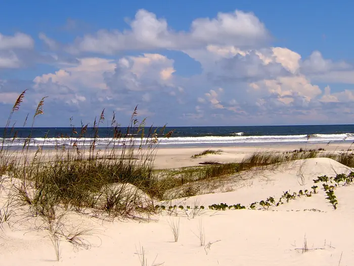 Cumberland Island National Seashore Camping Permits