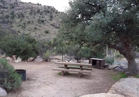 Molino, Loop: MOLINO