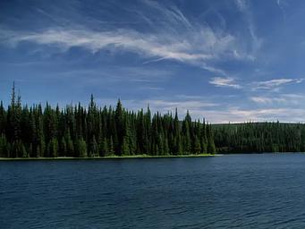 Jubilee Lake showing water, trees blue skies.
