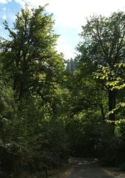 Clay Creek Recreation Site