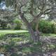 Campspot slideshow image 5