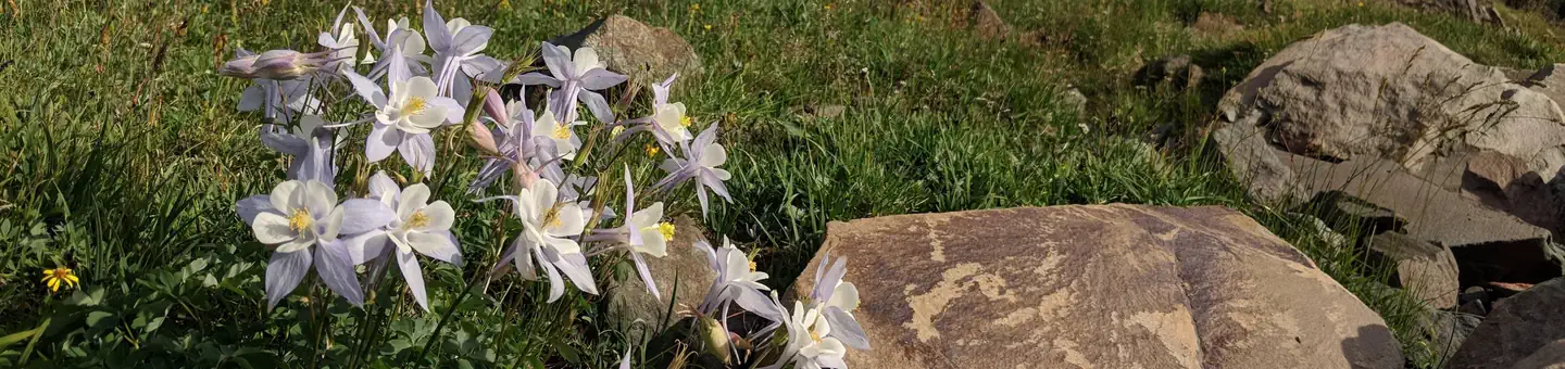 Keystone Ranger Station