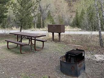 Wapiti Campsite 13, picnic table, fire ring, trees  