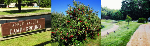 Apple Valley Campground