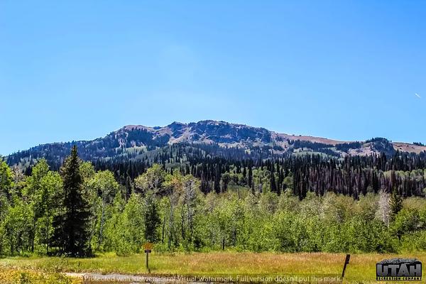 GROUP, Loop: BOUNTIFUL PEAK GROUP