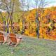Campspot slideshow image 5