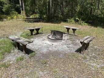 Palm Bluff Conservation Area SJRWMD