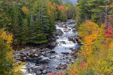Schroon River Escape (Schroon River RV Resort)
