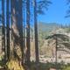 Wide panorama showing the river corridor and campground tree line — good overall view of site setting and nearby river; matches the page hero image for Gold Basin Campground.