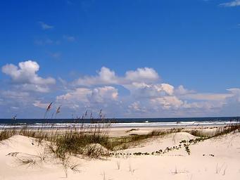 undeveloped beach complete with sea oat covered dunes, light sands, blue sky, and crashing waves