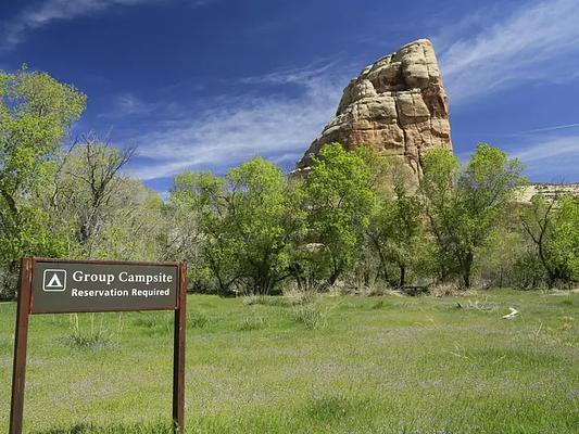 Echo Park Campground Group Site, Loop: Echo Park Campground Group Site