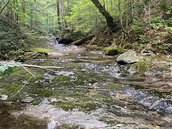 Chittenden Brook