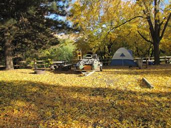 Campground image 3