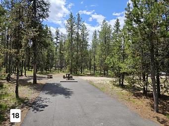 Shoreline Campground/1441