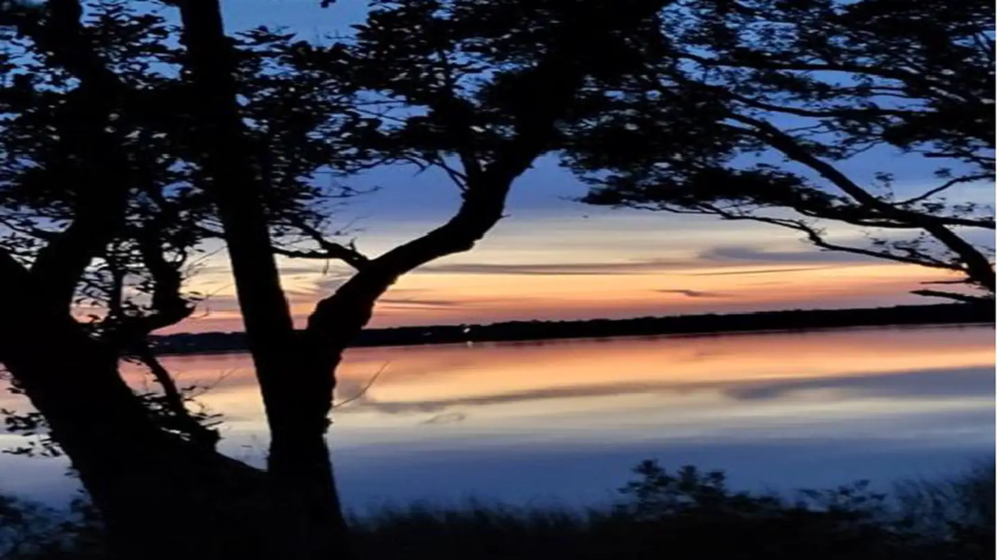 Oyster Point Campground