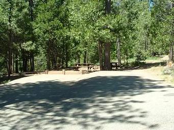 SHIRTTAIL CREEK