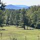 Black Bear Plantation (www.BlackBearPlantation.com)