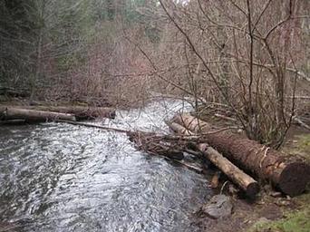 FOURBIT FORD CAMPGROUND