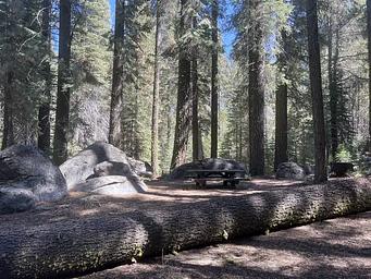 1, Loop: AREA SILVER CREEK GROUP CAMPGROUND