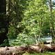 La Wis Wis Campground