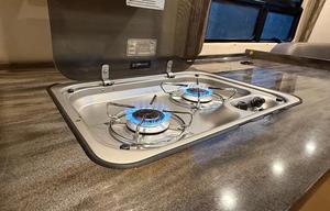 Leisure Travel Van Serenity Class B+ RV