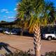 Shaded RV sites and Palm Tree