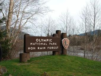 A large brown National Park sign that reads "OLYMPIC NATIONAL PARK - HOH RAINFOREST." The Hoh River can be seen flowing past in the background.