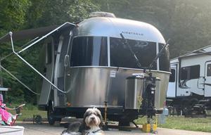 Sleek and Cozy Family and Pet Friendly Airstream