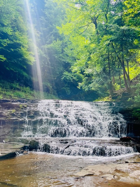 Salt Springs Park