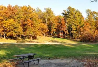 Open grassy campsite area with picnic table and a cabin in the tree line during fall colors — good view of cabin/rental and grounds from the campground listing page.