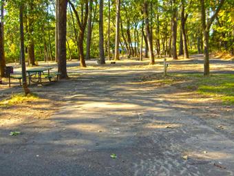 Campground image 3