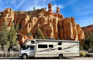 "The Dude" 2017 Winnebago - Minnie Winnie 31G