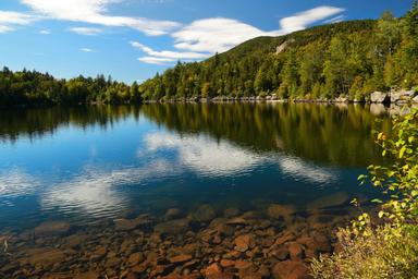 Stewarts Pond Campsites