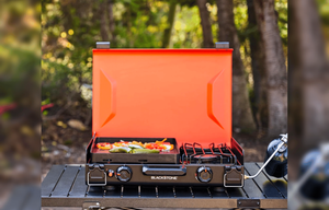 2025 Rockwood Geo Pro G20BH