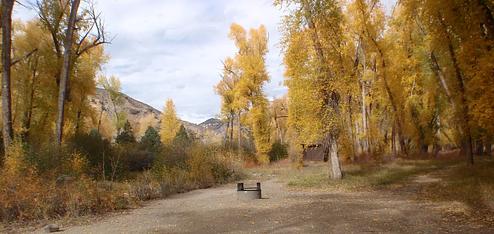 East Elk Creek Group Campsite