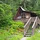 Brown cabin with steps extending down to grass with blue and orange flowers with trees behind cabin