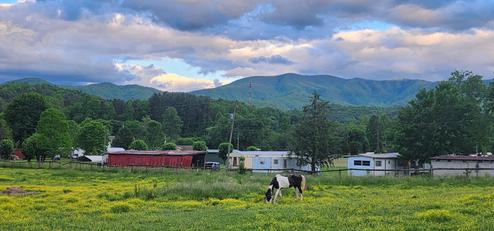 Big Bear's RV Park