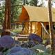 Canvas glamping tent in a pine setting — representative photo of the resort's glamping accommodations and campsite environment.