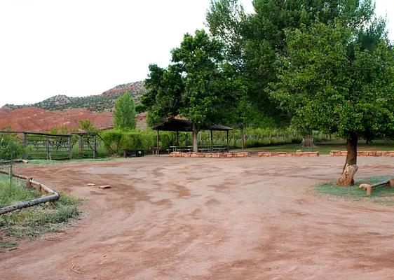 Group Site, Loop: Capitol Reef NP Group Campsite