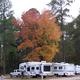 Wide-format scenic view of RVs parked beneath tall trees with autumn foliage — provides an overall sense of the campground setting and wooded sites (used as a background image on the campground page).