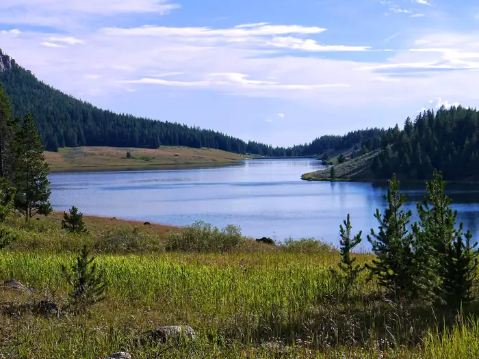 Lakeview Bighorn