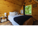 Interior photo of a wood‑lined bedroom inside a cabin — useful to show interior lodging finish and guest experience offered at the ranch.