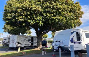 Family Fun on the Central Coast!