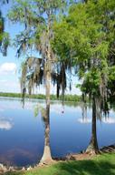 Cypress Cove Nudist Resort