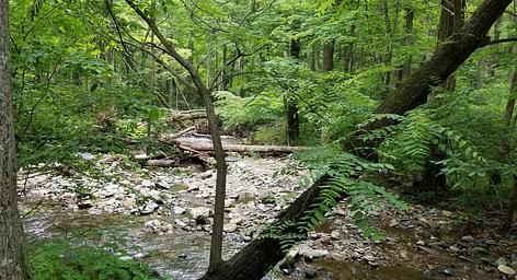 Creek shallows near primitive campsites